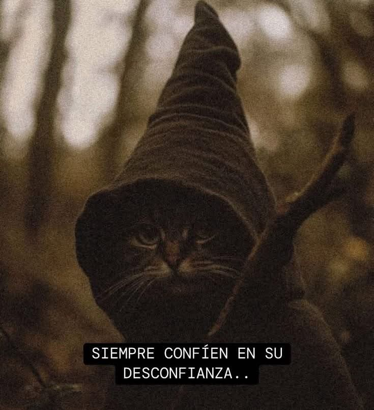 BANDIDOS (@bandidosfrasess) on Twitter photo 