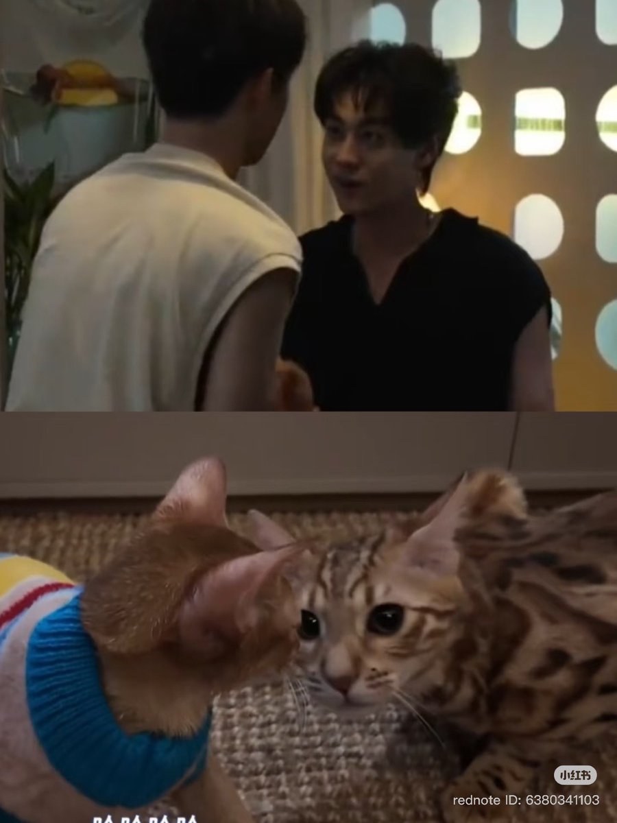 miss_fujoshi6's tweet image. Hehe🤣🤣