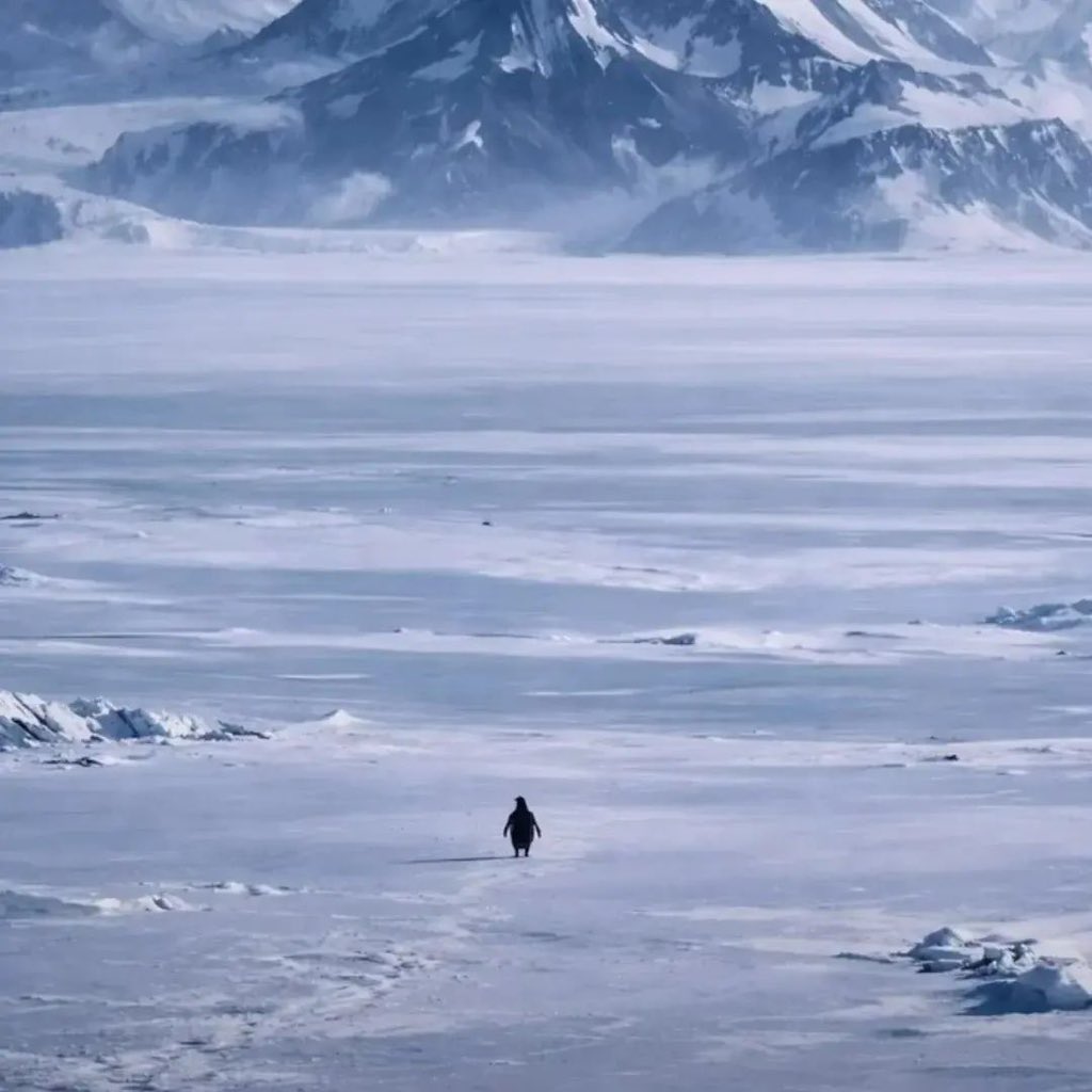 My entire timeline is just this penguin