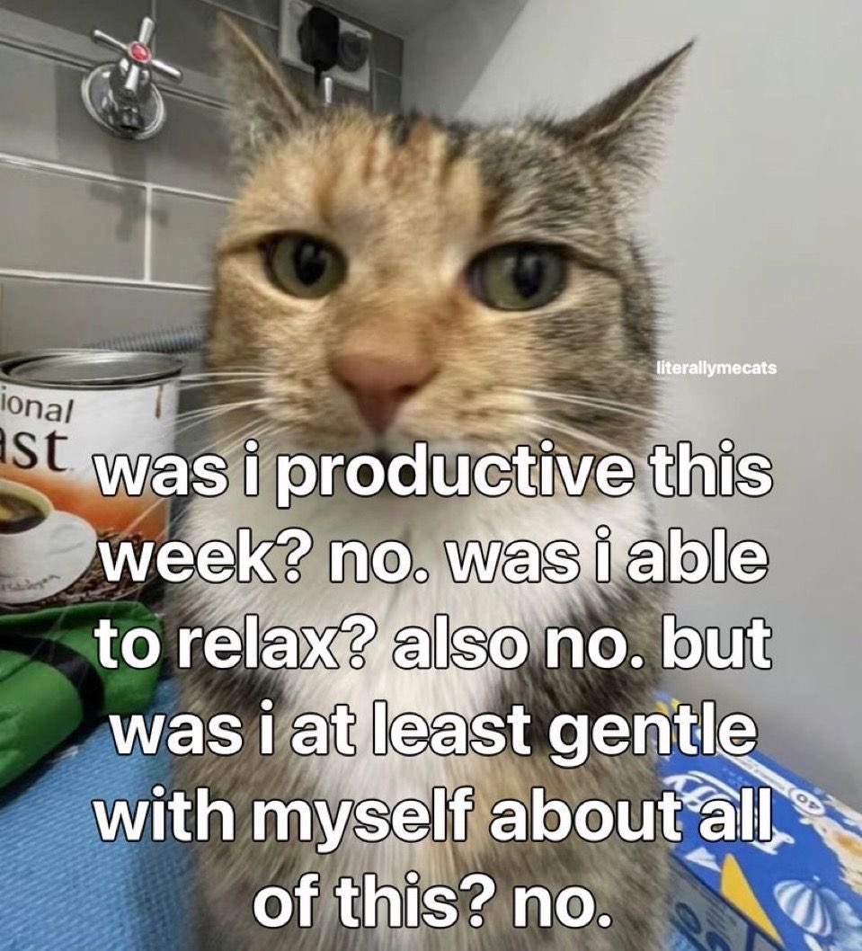 ADHD Memes (@adhdforreal) on Twitter photo 