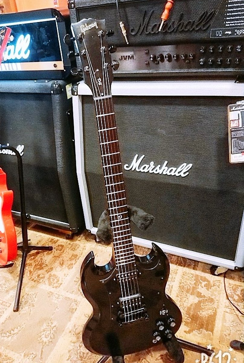 Gibson USA SG Gothic🌟🌙

漆黒のエボニー指板⸜🖤⸝

#みんなのGibson見せて