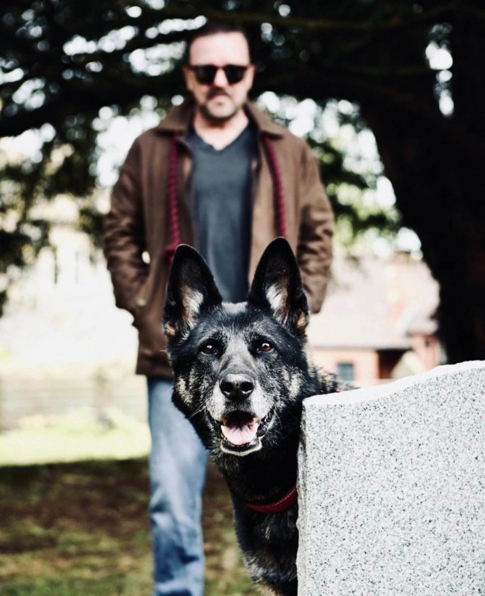 After Life 🐕‍🦺 tweet media