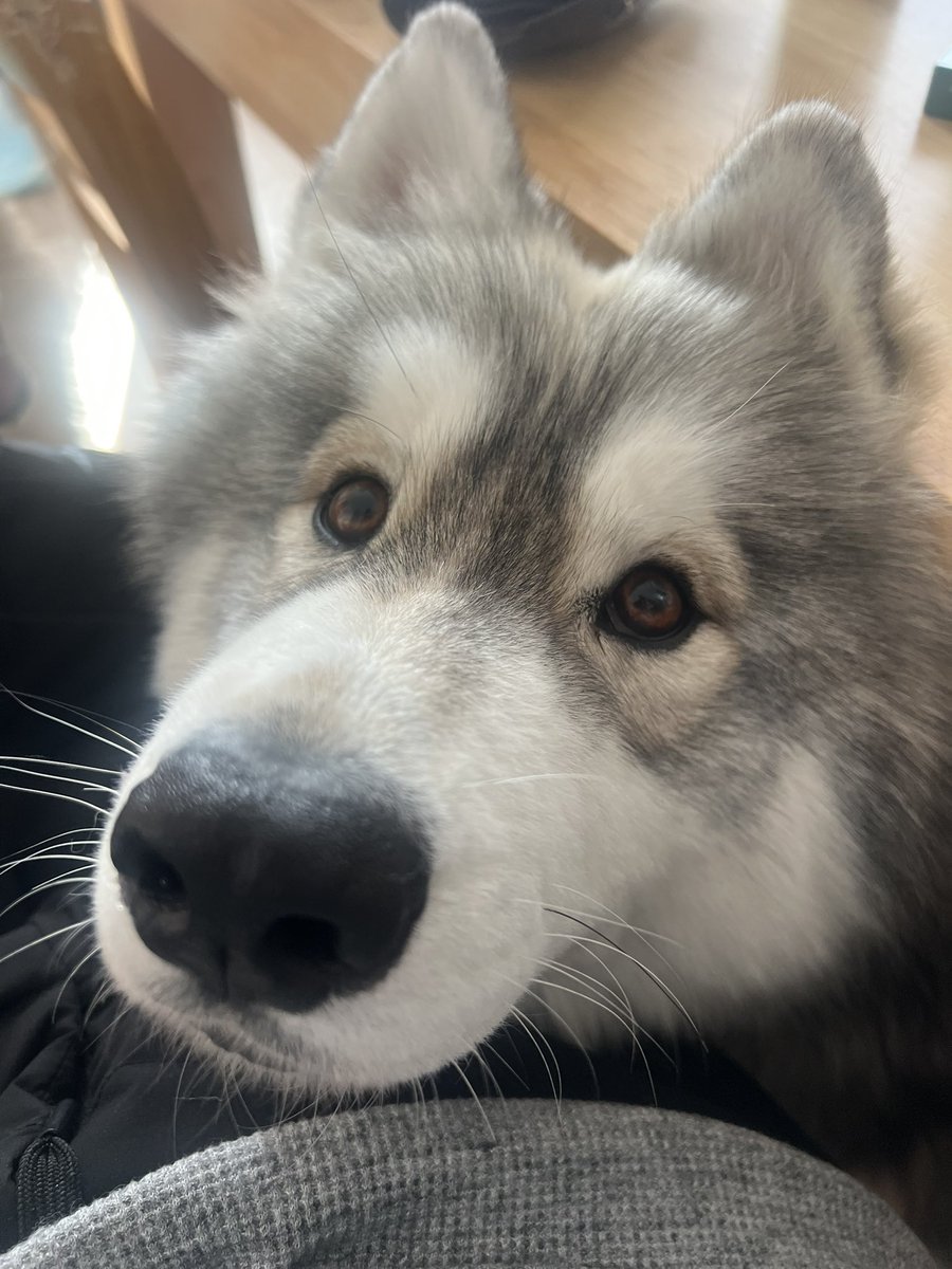 純粋なウマウマだけを見つめる目