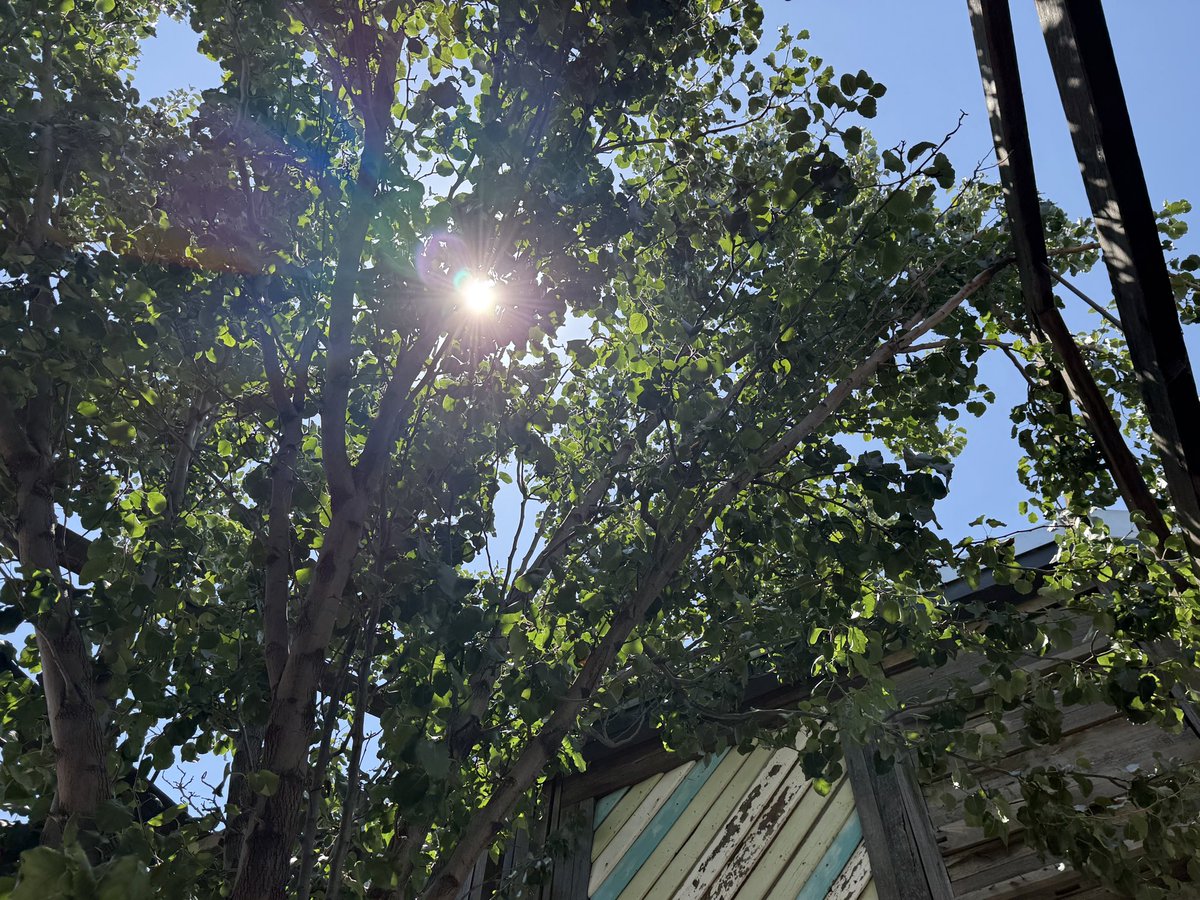 I have time I have time I have time I have time I have time I have time I have time