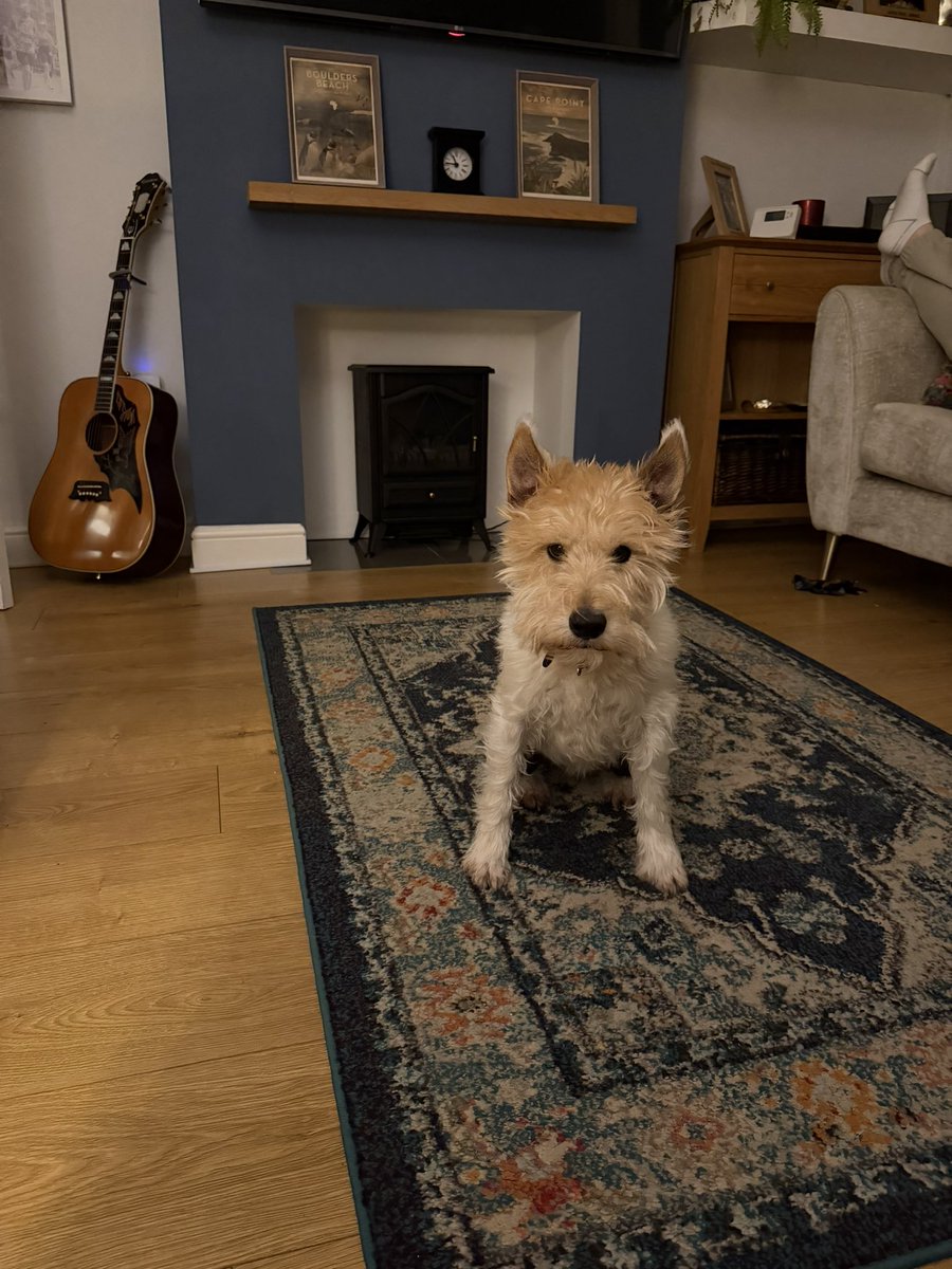 Jake Aston 🤩 tweet media