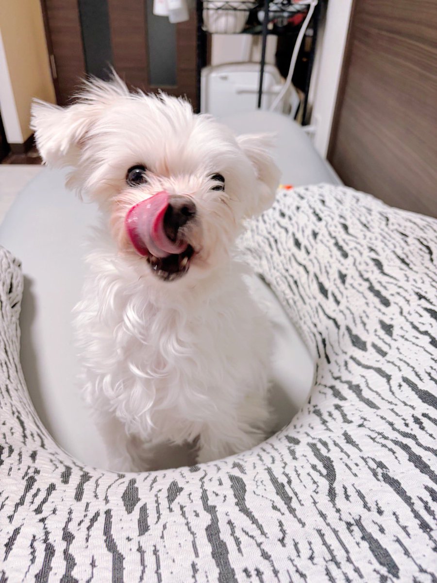 RAM (@ram_55) / Posts / X