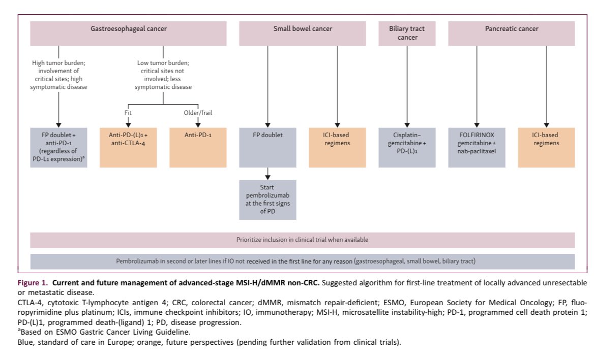 Erman Akkus tweet media