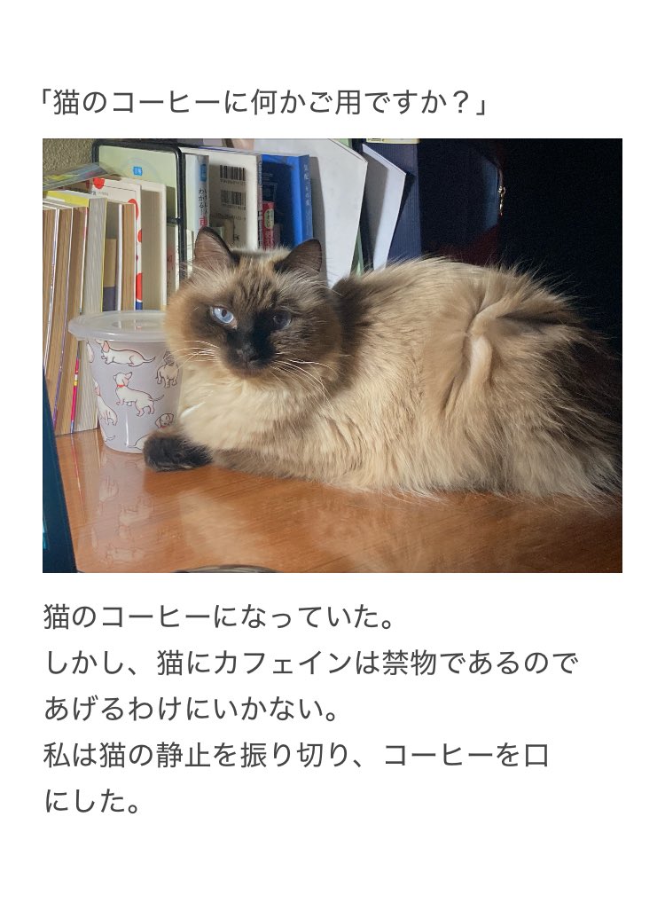 やーこ (@yalalalalalala) / Posts / X