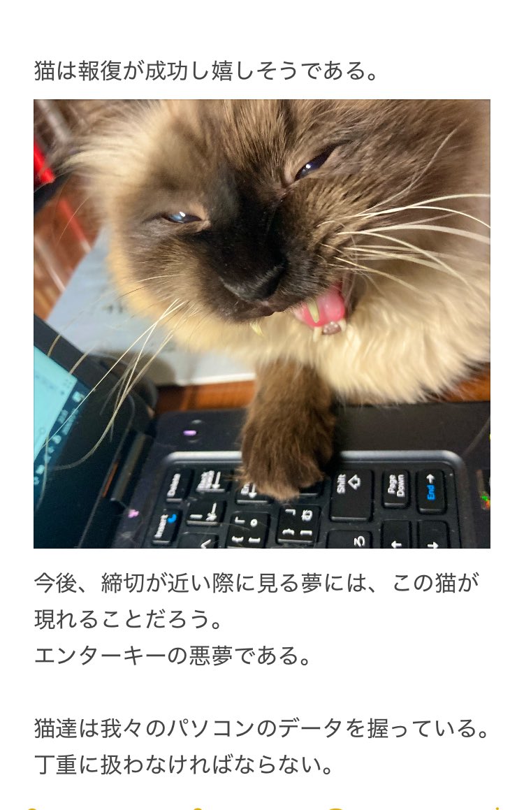 やーこ (@yalalalalalala) / Posts / X