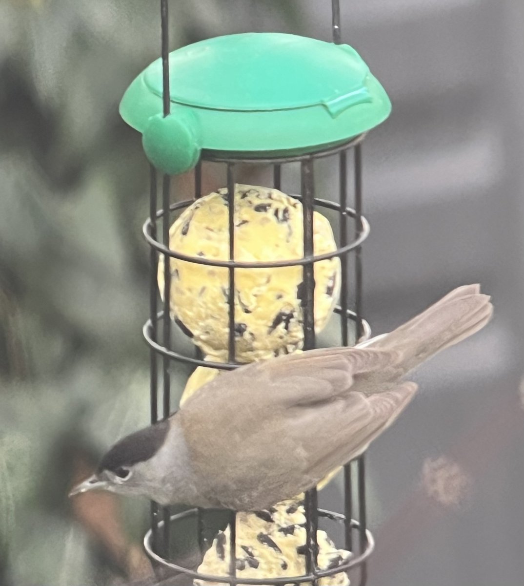 David Blellock tweet media