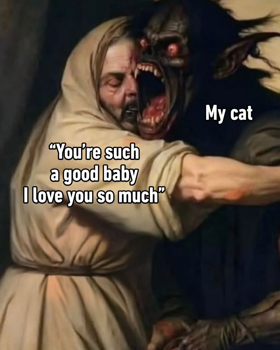 NO CONTEXT HUMANS (@humansnocontext) on Twitter photo 