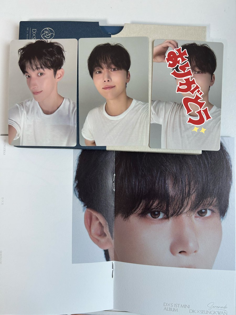 SEVENTEEN トレカ DK SEVENTEEN DK Official Photo card HITORIJANAI A B C D Normal CARAT