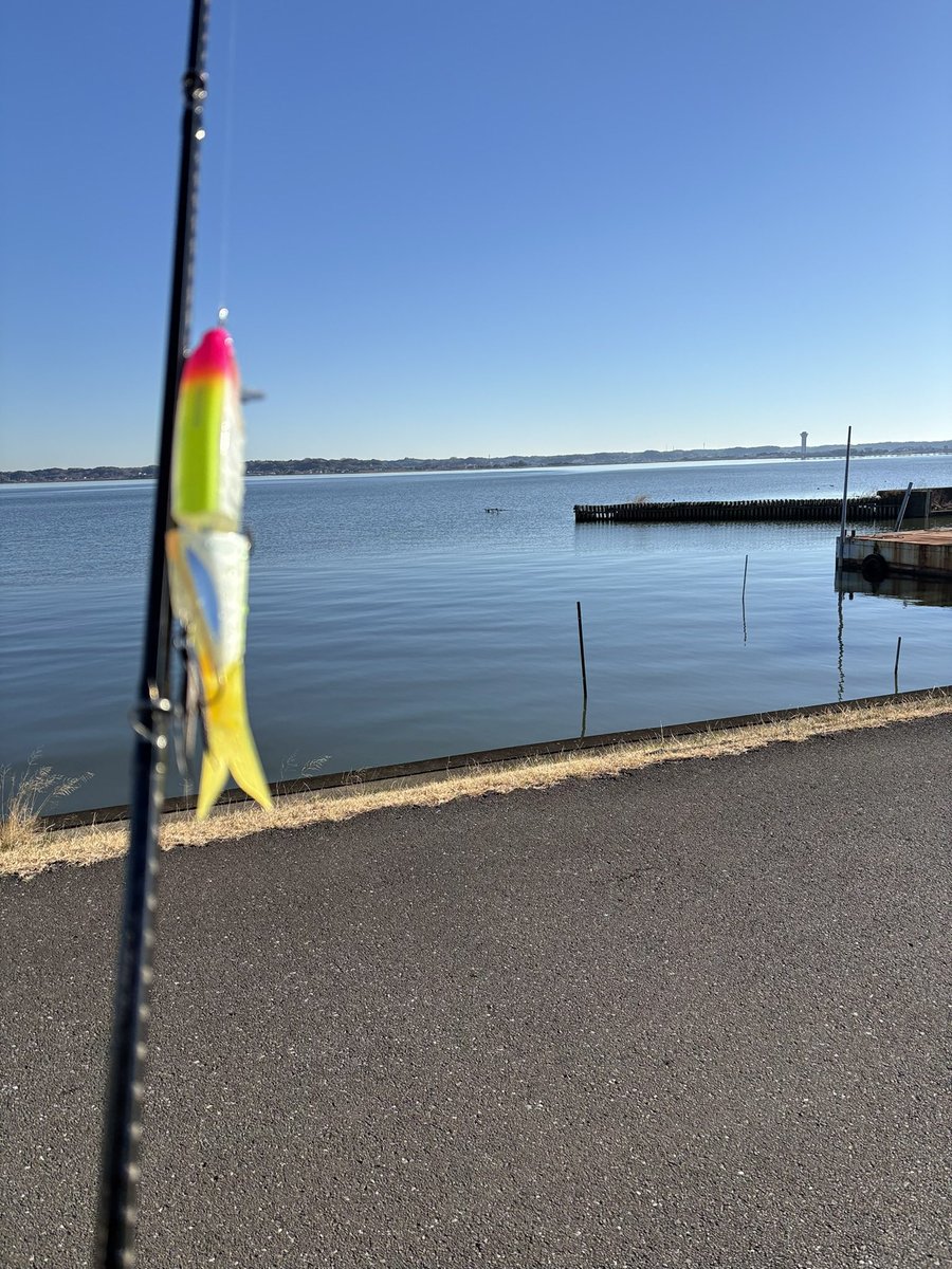 釣り好きtoshi (@seeBass1983) / Posts / X