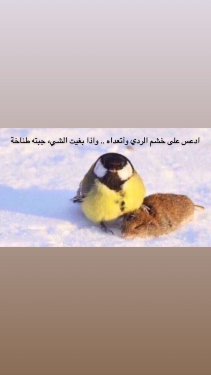 Omar 🇸🇦 tweet media