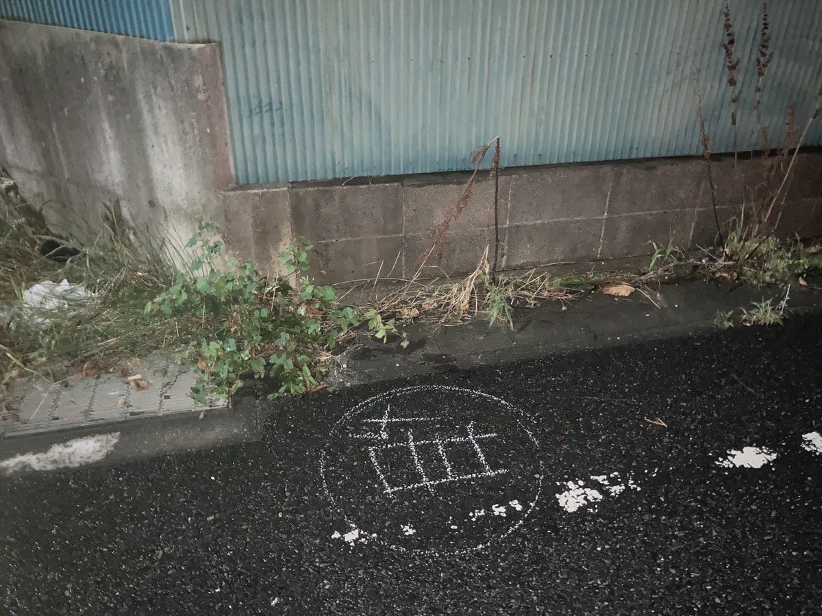 sokabokumetsu's tweet image. 反創価学会の活動をしていてバイクを乗っている際に信者達に複数の車で追いかけまわされたことがある
交差点を一時停止して侵入右から来た車に撥ねられ病院へ
柏市の畑の中明らかに目撃者はいなかったのに4人から一時停止してないといわれた
事故相手の家に訪問すると公明党ポスター
1番身の危険感じた