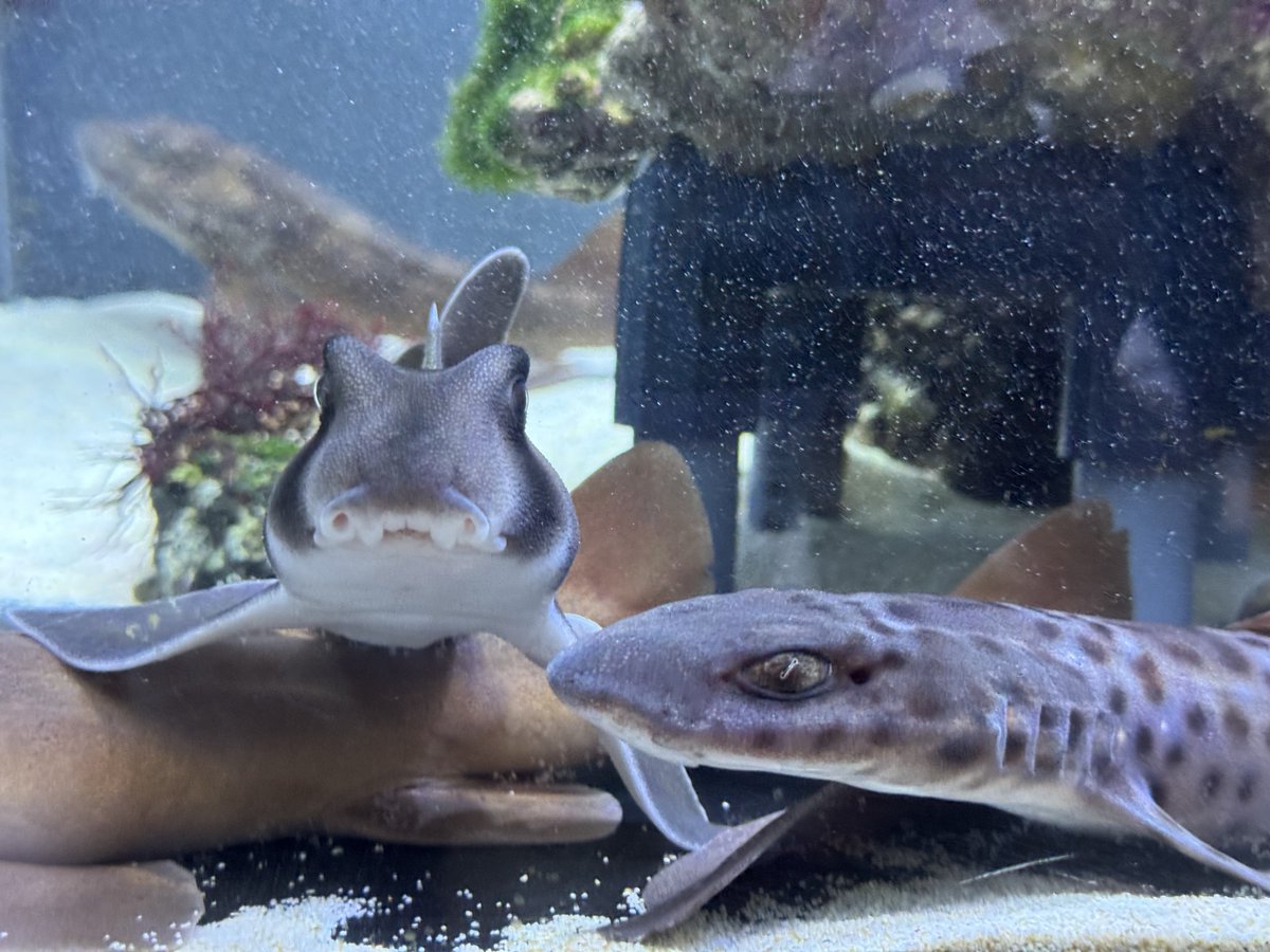 san_koh_kumo's tweet image. はい！チーズ！！