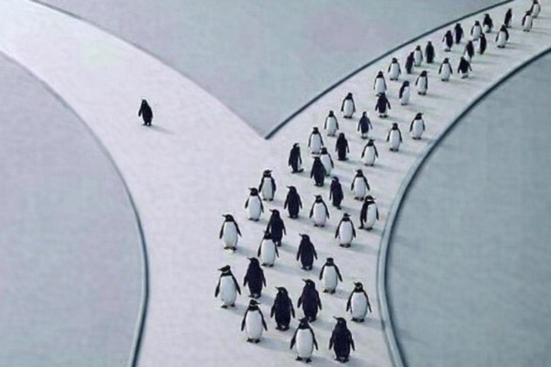 morningxbt's tweet image. im nothing like you niggas