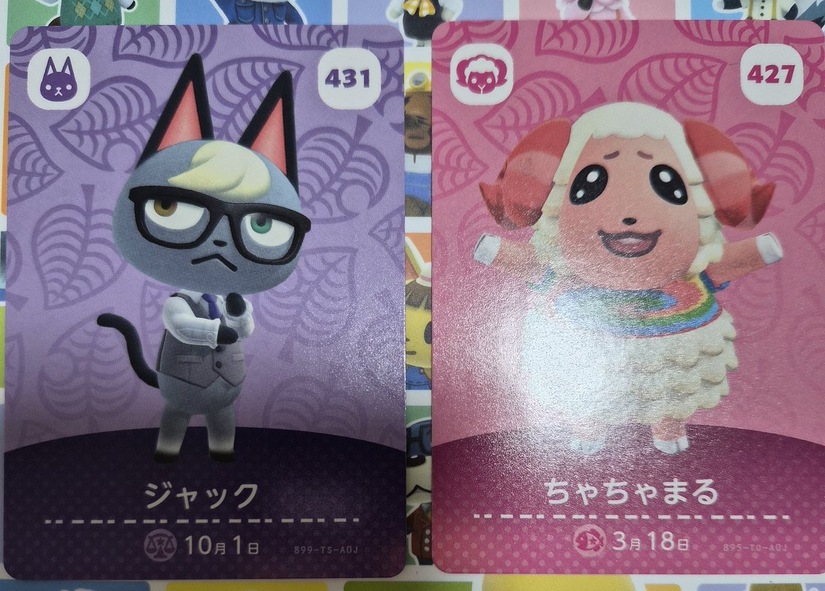 ちゃむこ tweet media