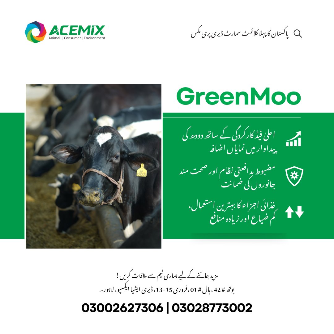 ACEMIX_OFFICIAL's tweet image. Looking to boost milk yield from your dairy animals?
Meet our team at Booth #42, Hall #01 – Dairy Asia Expo, Lahore.  Feb 13–15, 2026📞 03002627306 | 03028773002 GreenMoo: Proven in the Field, Trusted by Farmers!
#ACEMIX #ClimateSmart #GreenMoo #Premix #Pakistan #DairyFarming