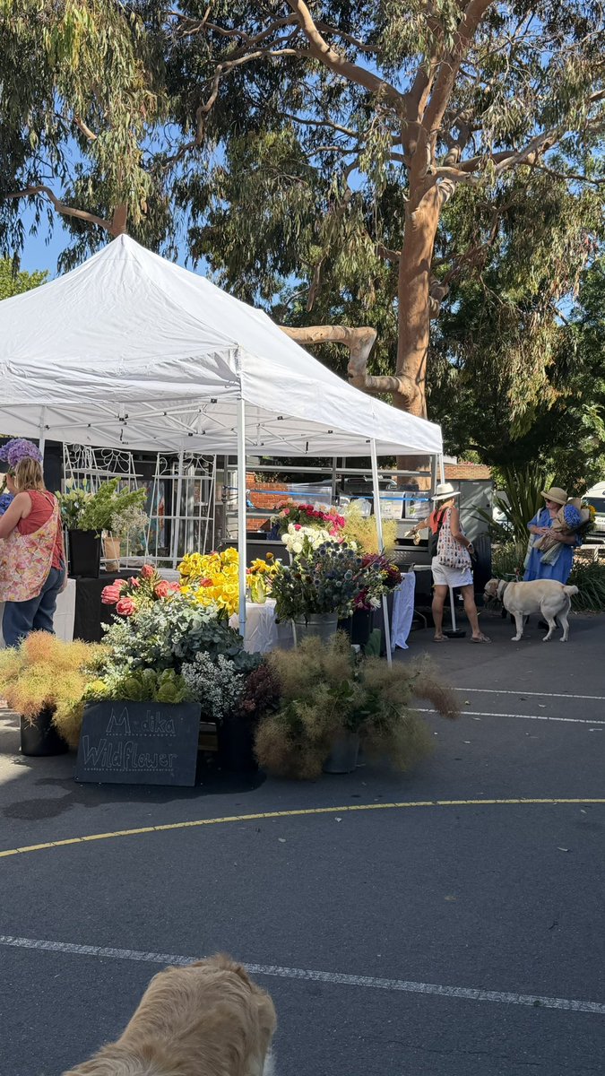 Hidden thread. tweet media