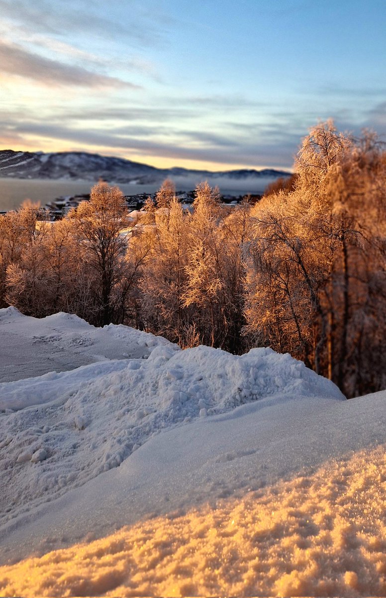 NorthernFrom's tweet image. Доброго солнечного утра всем. Я некоторое время буду восхищаться солнцем,наравне с  северным сиянием. 😁