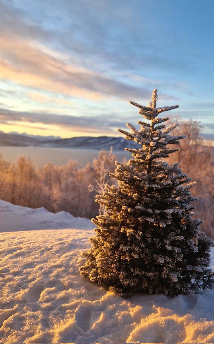 NorthernFrom's tweet image. Доброго солнечного утра всем. Я некоторое время буду восхищаться солнцем,наравне с  северным сиянием. 😁