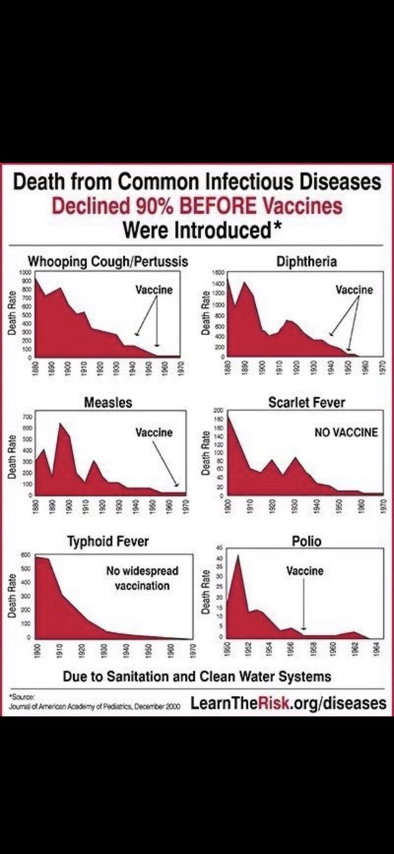 ernst vingerhoets tweet media