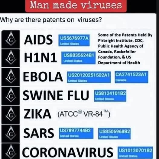 ernst vingerhoets tweet media