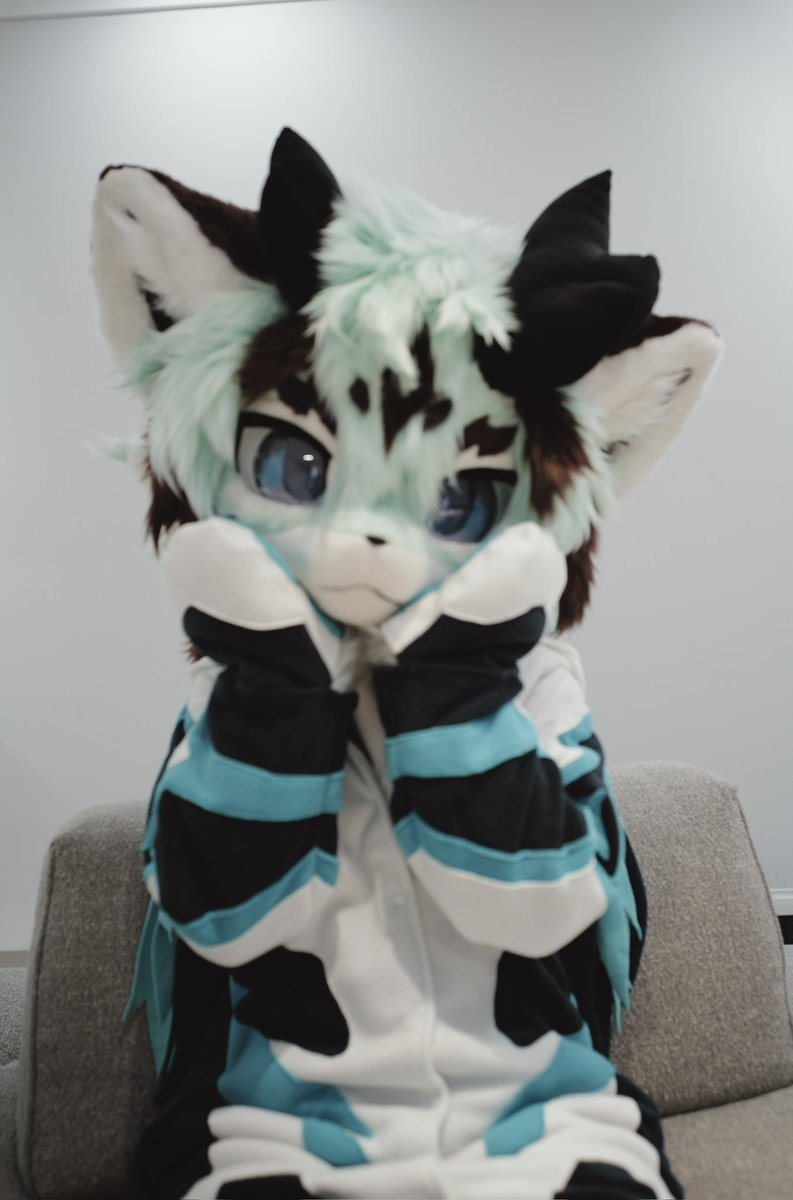 纯情狗饭 tweet media