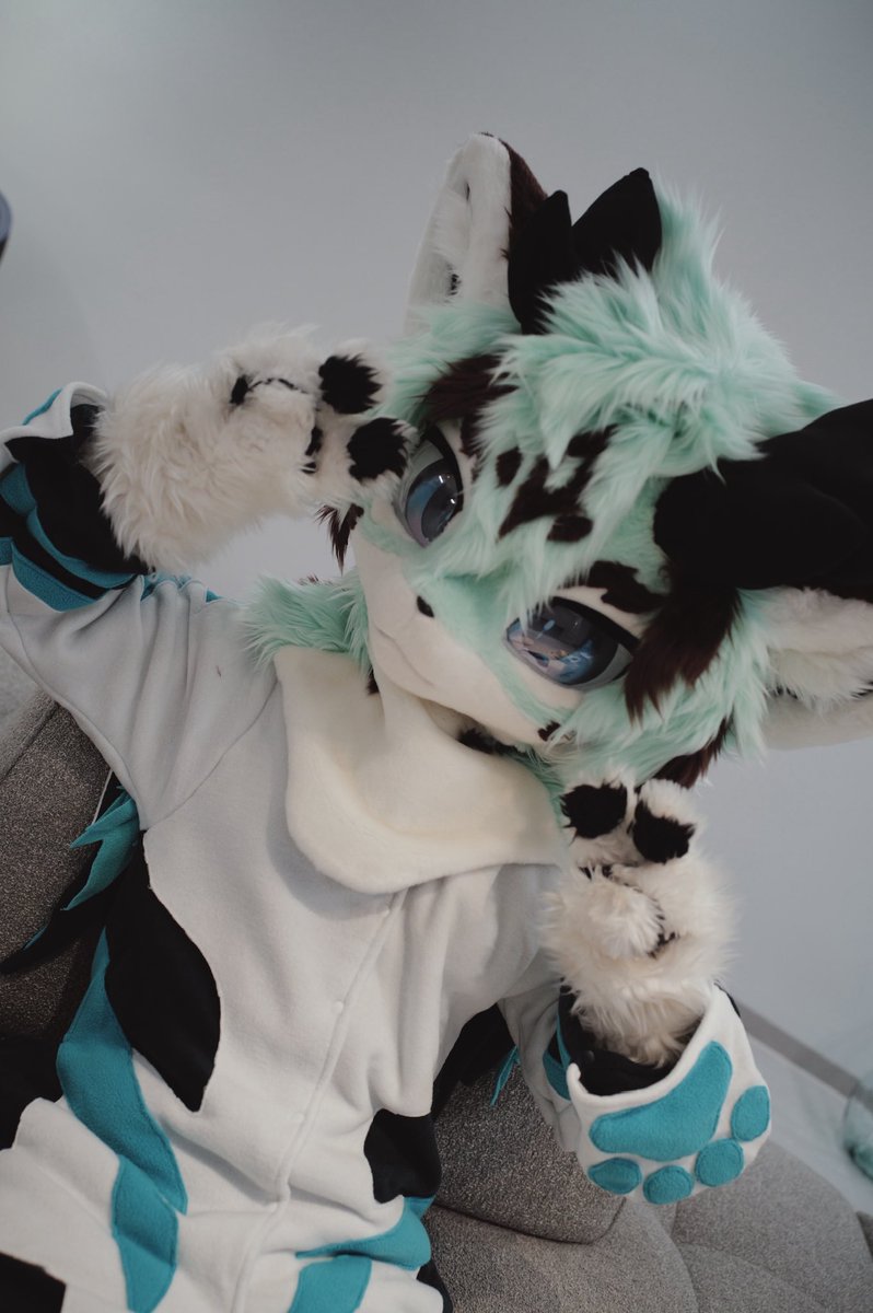 纯情狗饭 tweet media