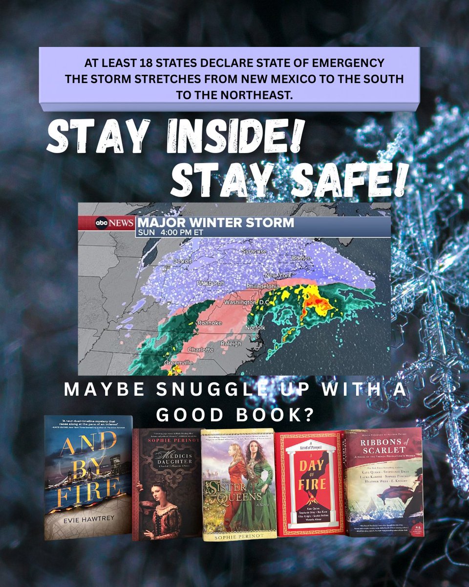 Lit_Gal's tweet photo. Snow and ice are coming. Power outages are predicted. By now the toilet paper aisle are empty. While you are stocking up for the coming storm don't forget a good read. #historicalfiction #historicalmystery #winterread https://t.co/7brEAqyakd https://t.co/RwkpjCGQSL https://t.co/aairPWBYpr