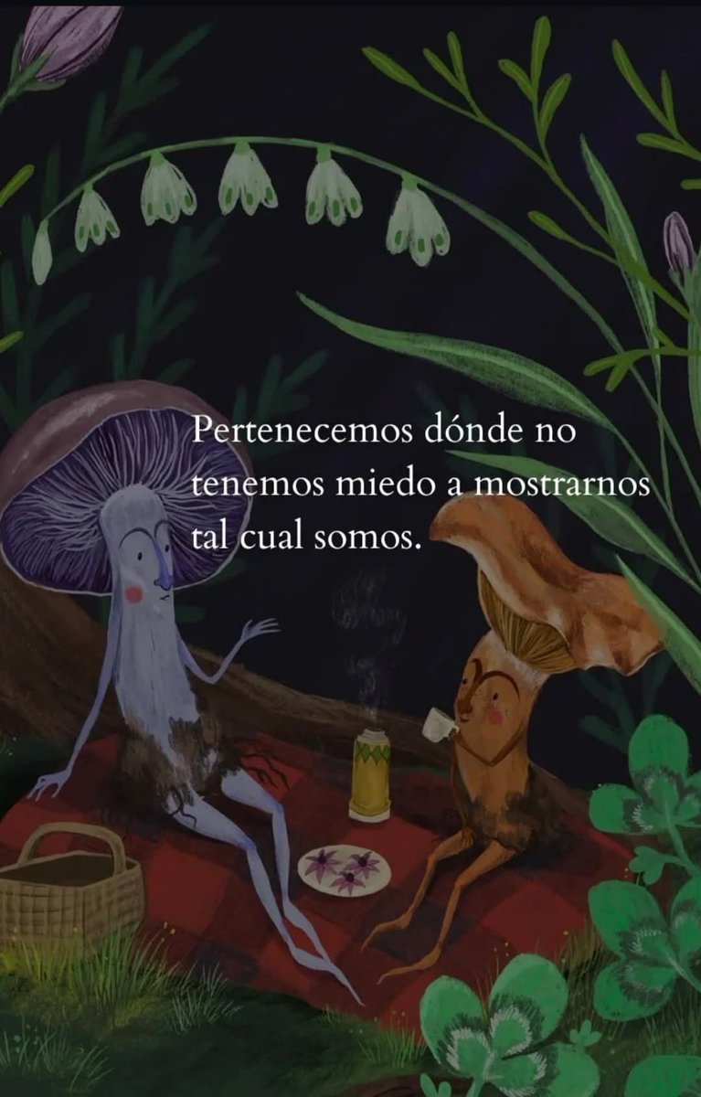 BANDIDOS (@bandidosfrasess) on Twitter photo 