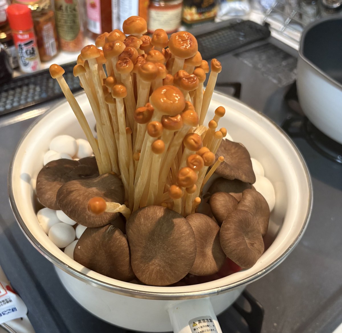 リュウジ信じてるぞ…🍄

<a href="/ore825/">リュウジ@料理のおじさんバズレシピ</a> 

#リュウジ信じてるぞ 
#リュウジのバズレシピ 
#リュウジ