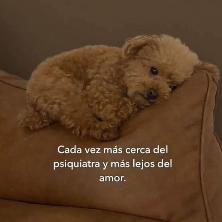 Bandidosfrasess's tweet photo. https://t.co/OEed622NNK