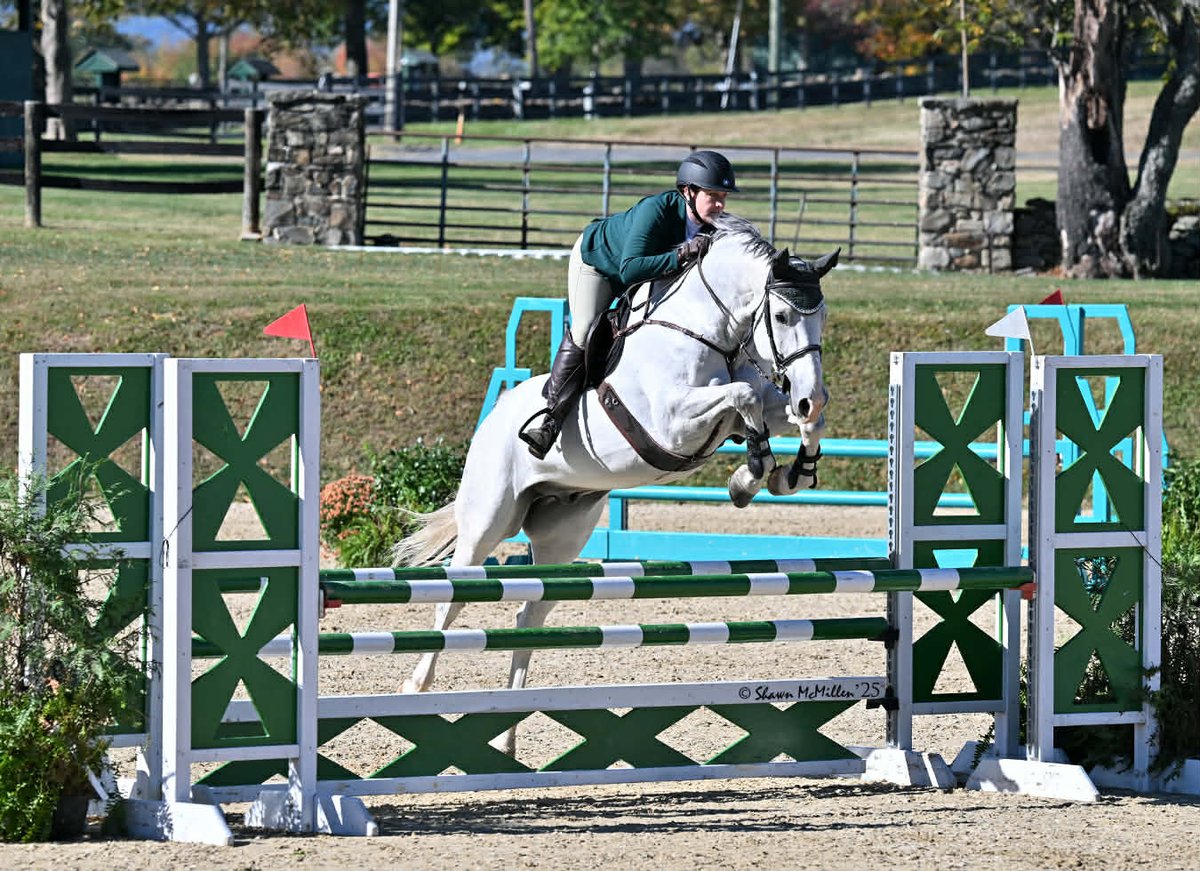 Jackpot is a loveable, easy-going imported gelding with consistent show experience for the last 3 years with an amateur and a pro. Has done up to 1.3m with a pro and 1.15m with an amateur. Comes out the same horse every day, no prep, quiet in the barn… dlvr.it/TQXX5X