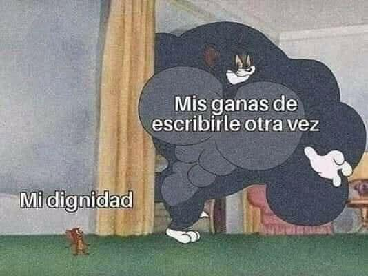 BANDIDOS (@bandidosfrasess) on Twitter photo 