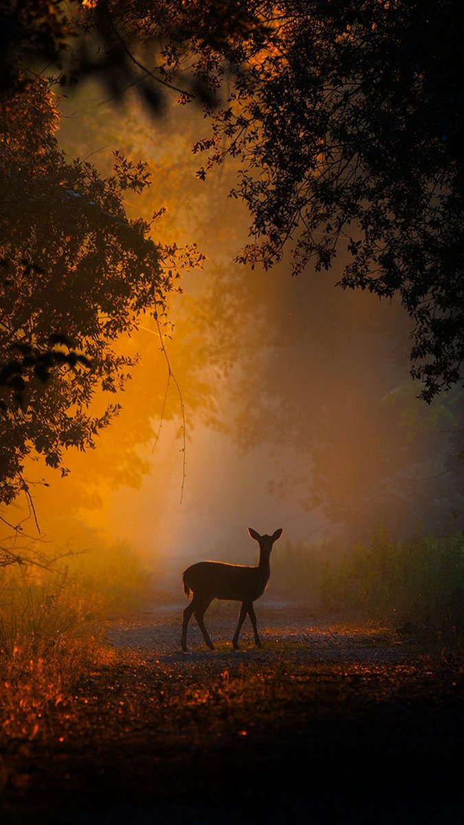 Chetos99's tweet image. Ever thought about how blockchain could rev up the auto industry? Imagine smoother transactions, enhanced security, and better supply chain tracking. It’s like giving your car a tech upgrade! Can't wait to see where this leads us next. Buckle up for change!