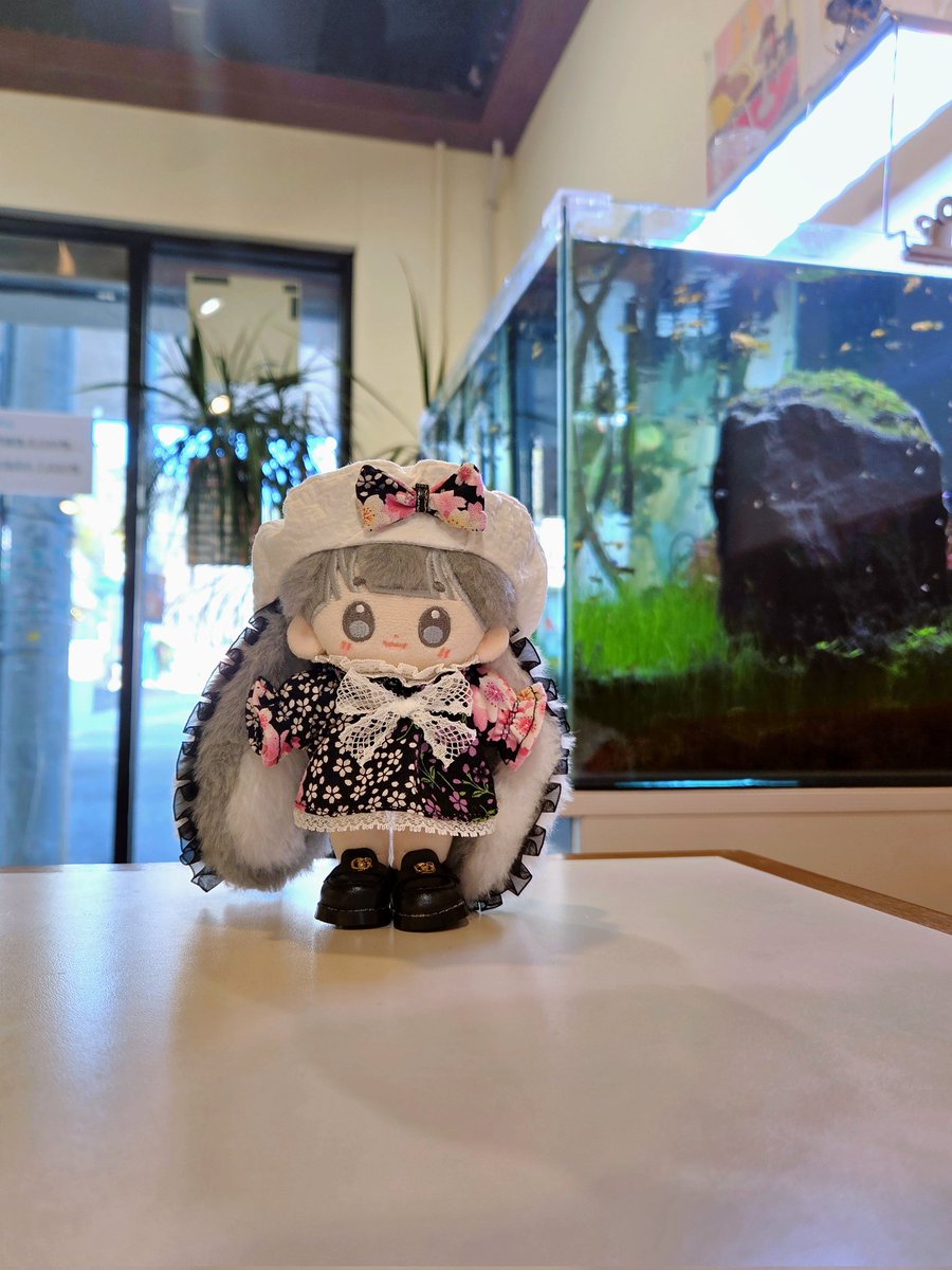 다음엔 어항 가까이에서 찍어야징
임쟈씨랑 딱이야😻

#밍맹묭
#흑임자포리
👗 <a href="/bori_mill28292/">밀과 보리 옷장</a>