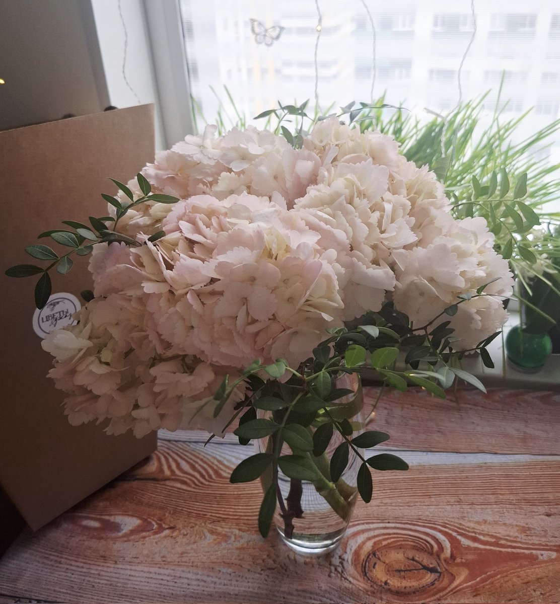 Busuka's tweet image. Поступление цветов по подписке продолжается 💐