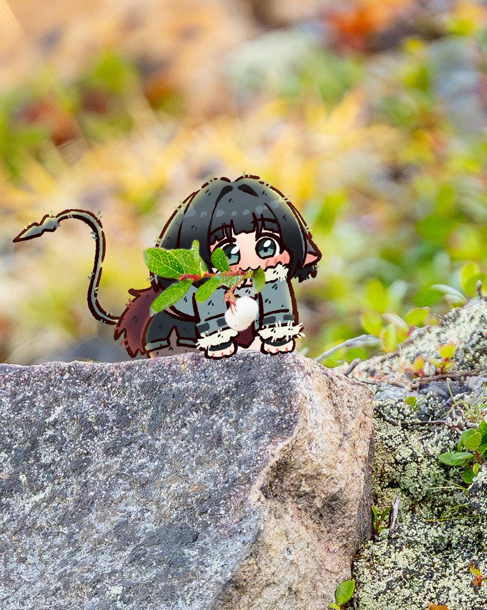 웅왕왕!
멋진 나뭇가지에요