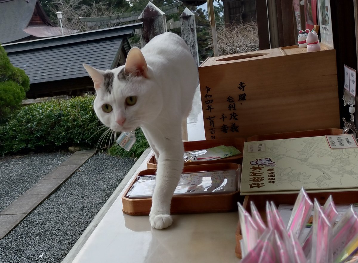 テンちゃん 本日の勤務態度 寒波の中、外まで出てお出迎え 午前中