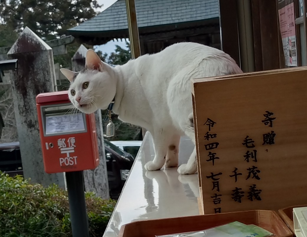 vendy 様　確認画像 vendy 様 確認画像 撮影によるご本人さま確認手順について