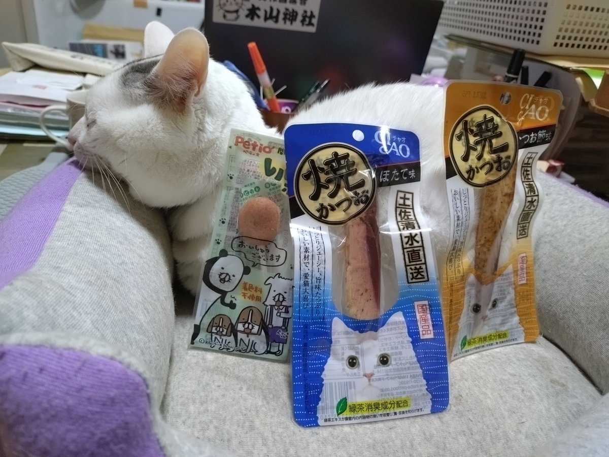 テンちゃん 本日の勤務態度 寒波の中、外まで出てお出迎え 午前中