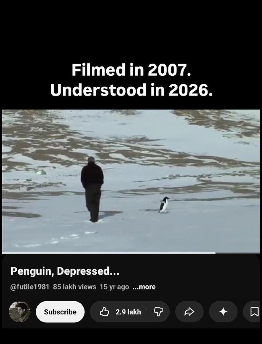 الانستا اليوم كله بطاريق!