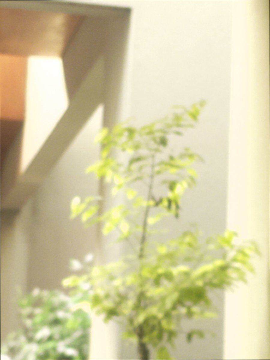 ribonsv's tweet image. 