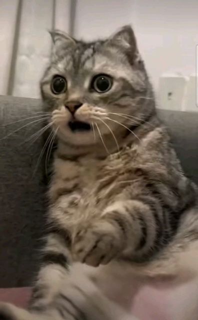 kcrinav's tweet image. ternyata udah ada difase ikut acara keluarga+dicariin jodoh