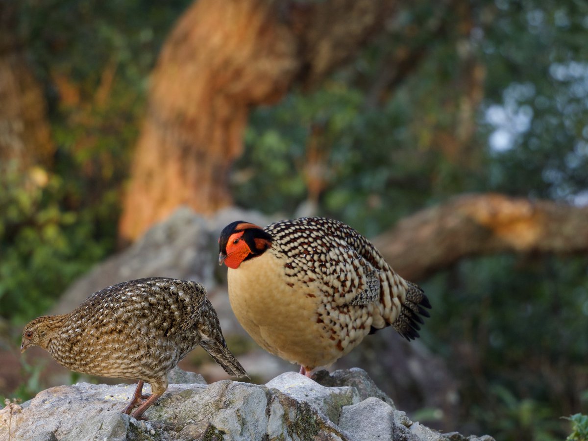 Edward Paxton 🇬🇧🏴🏴 tweet media