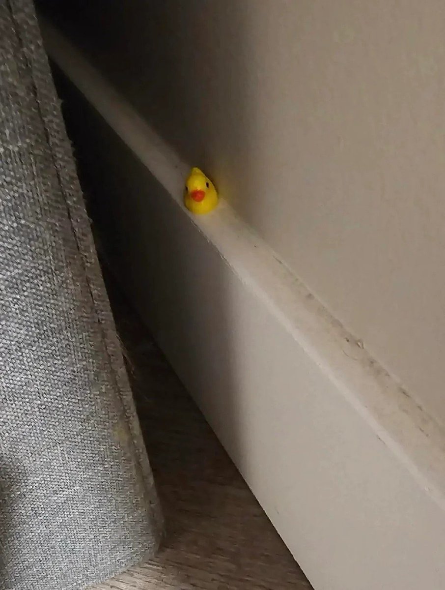 gündemio tweet media