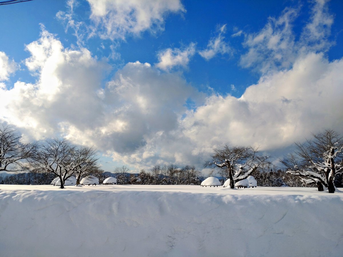 本日の万座環状列石です。今週はずっと雪模様で、掘立柱建物が見えなくなりそうなほど積もりました。ここまで積もるのは初めてかもしれません。　#大湯環状列石