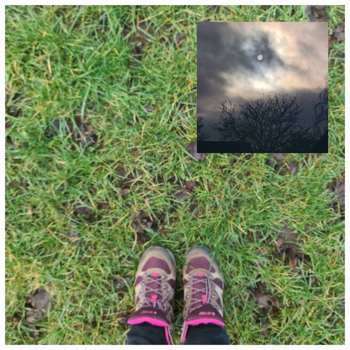 Sarah Marie tweet media